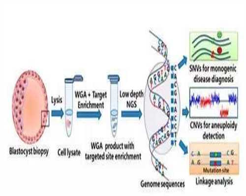 2026年助孕机构全面指南与真实案例分享