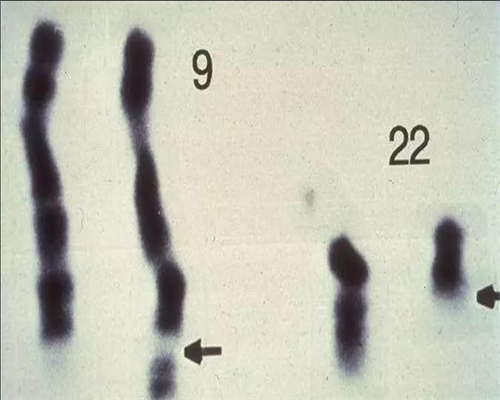 第三代试管婴儿技术解析与实施指南
