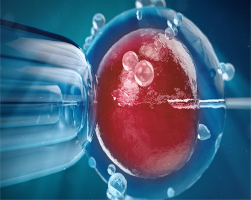 试管婴儿医院费用详解与辅助生殖指南